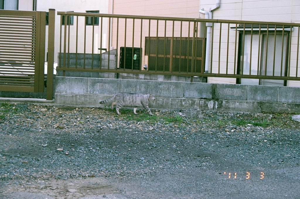 こんくりーとかもふらーじゅ。