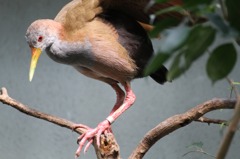 IMG_5511