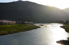 arashiyama