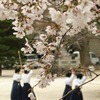 未来の剣士