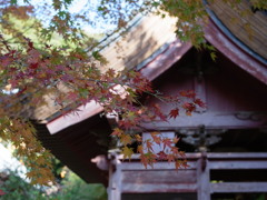 小松寺の秋