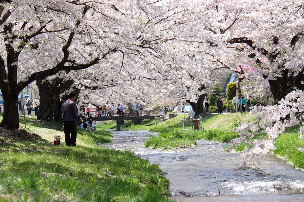 20140503002