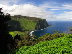 HAWAI4