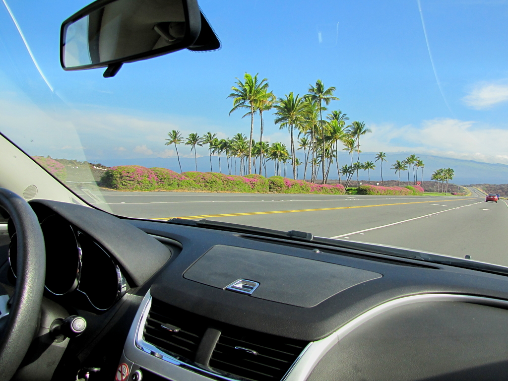 HAWAI15