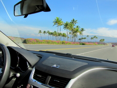 HAWAI15
