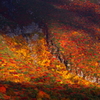 2012091522