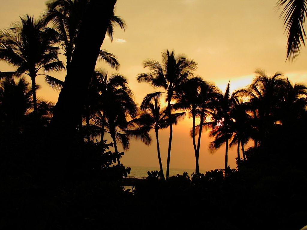 HAWAI6