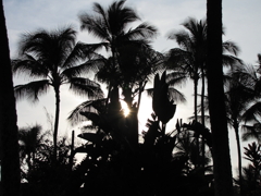 HAWAI1
