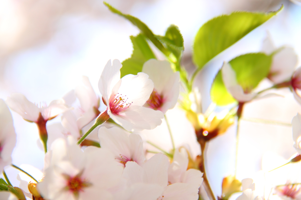 20140503005
