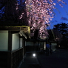 鶴ヶ城 (9)