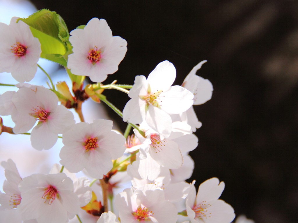 20140503004