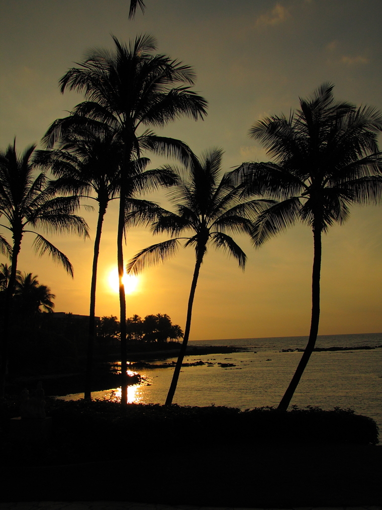 HAWAI2