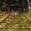 ruins-12