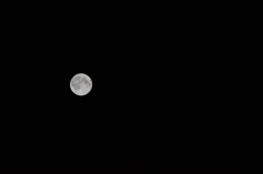 Super moon Real Focus ver.