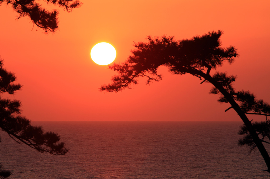夕日
