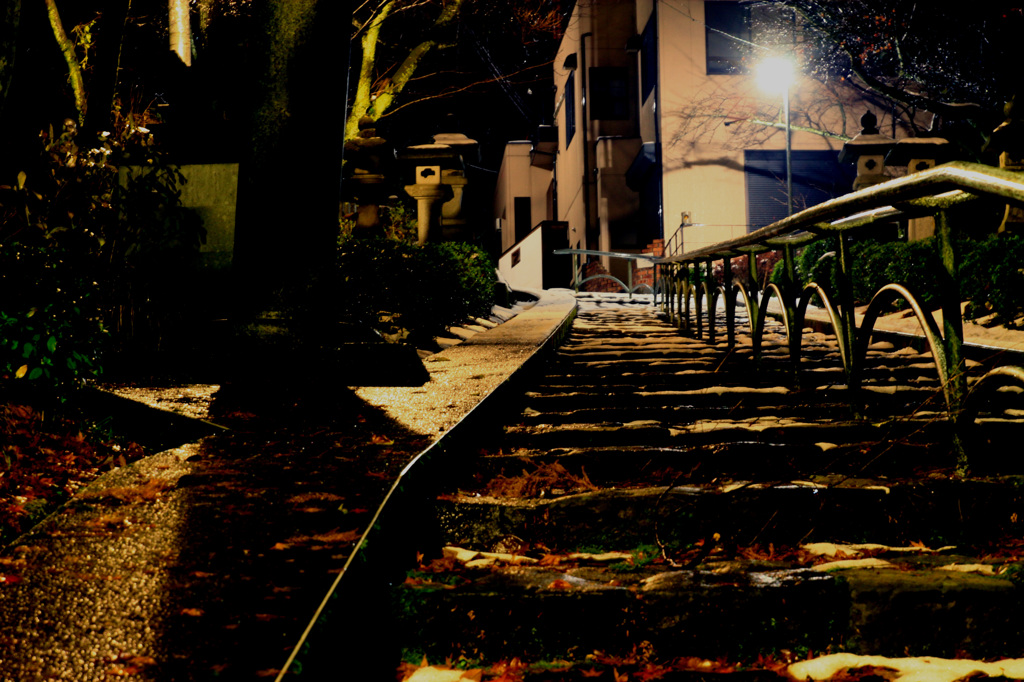 IMG_3103のコピー