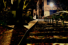 IMG_3103のコピー