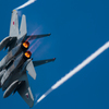 F15