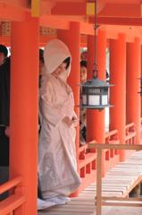 お幸せに in 厳島神社