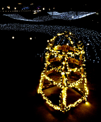 吉野ヶ里歴史公園　光の響　２０２１　その１４