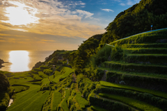 浜野浦の棚田　その３