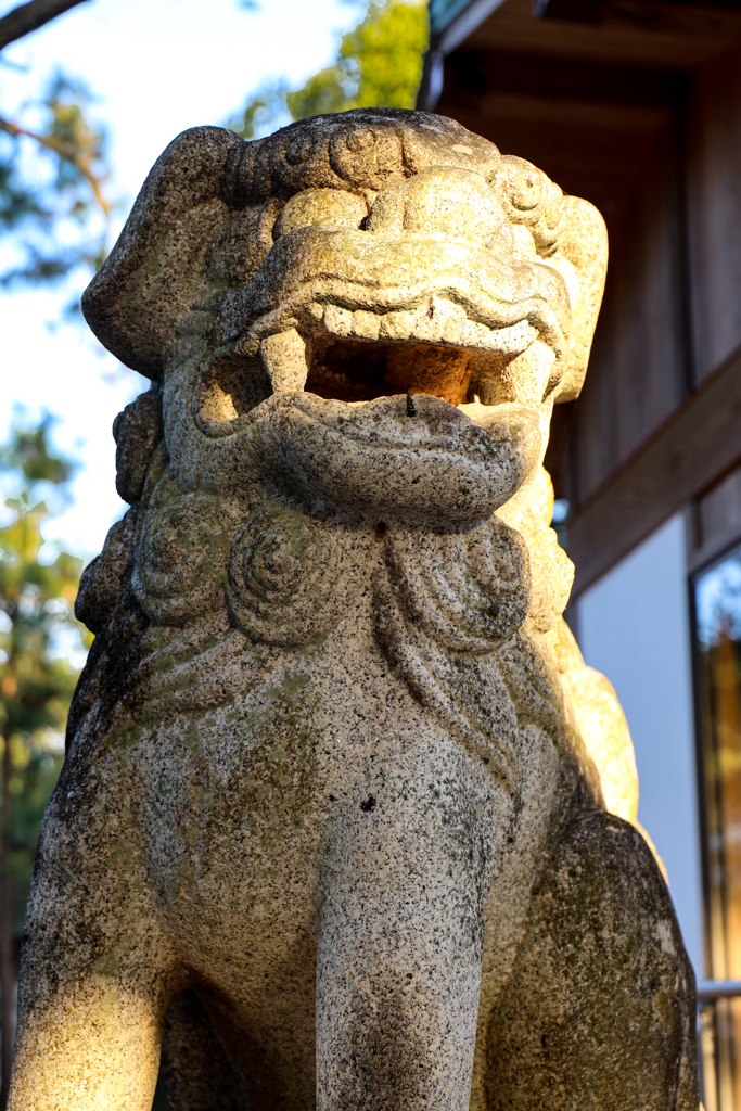 宮地嶽神社総本宮　その５