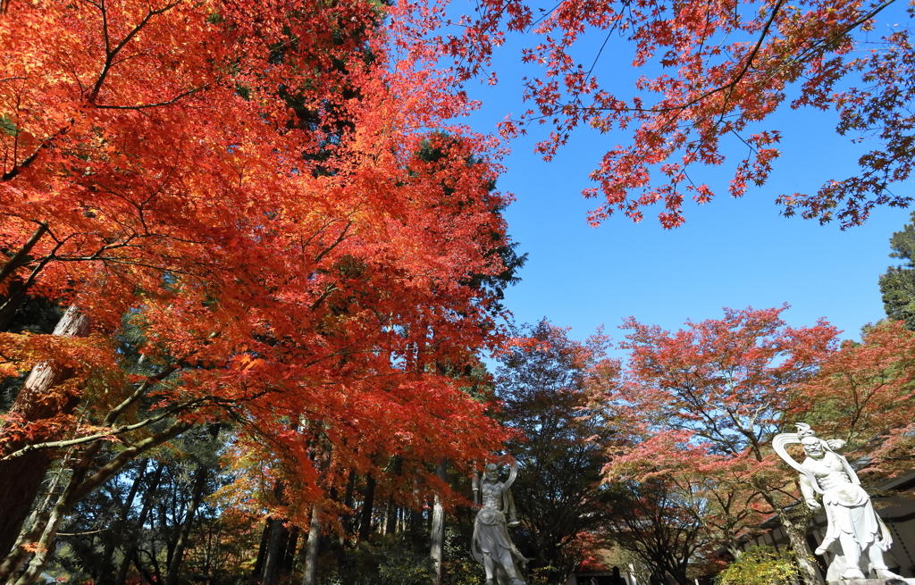 呑山観音寺　その３