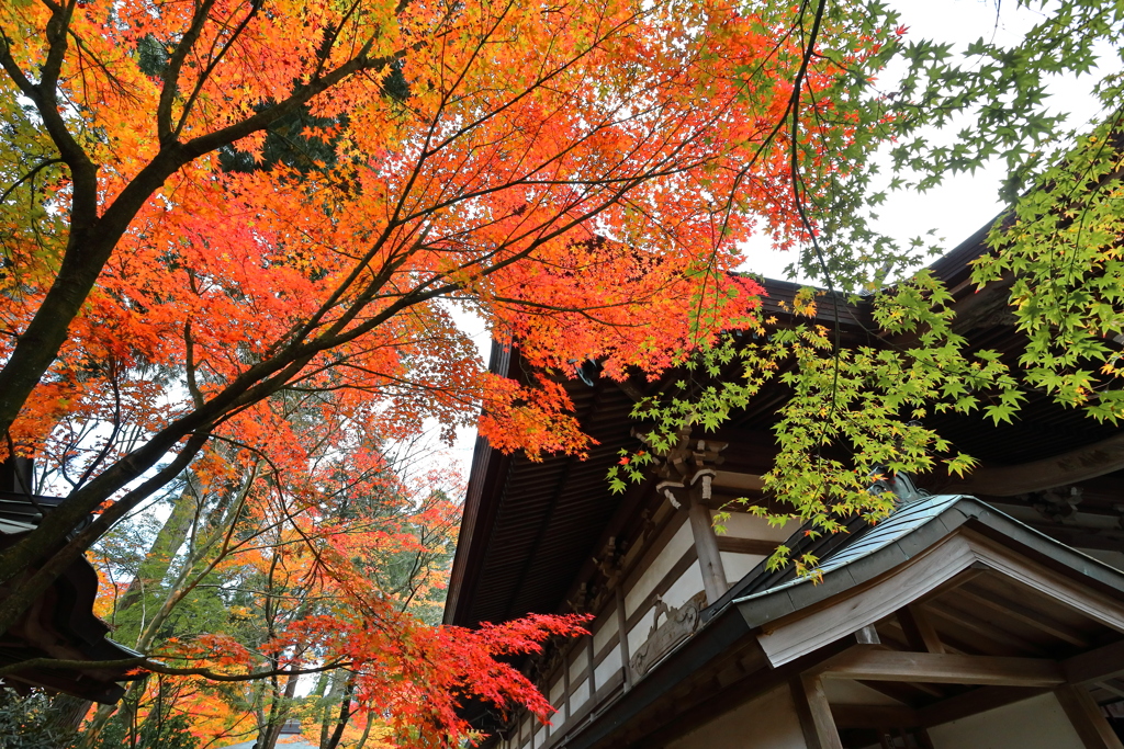 呑山観音寺　２０２１　Part2　その１