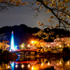甘木公園の桜２０２０　その１４