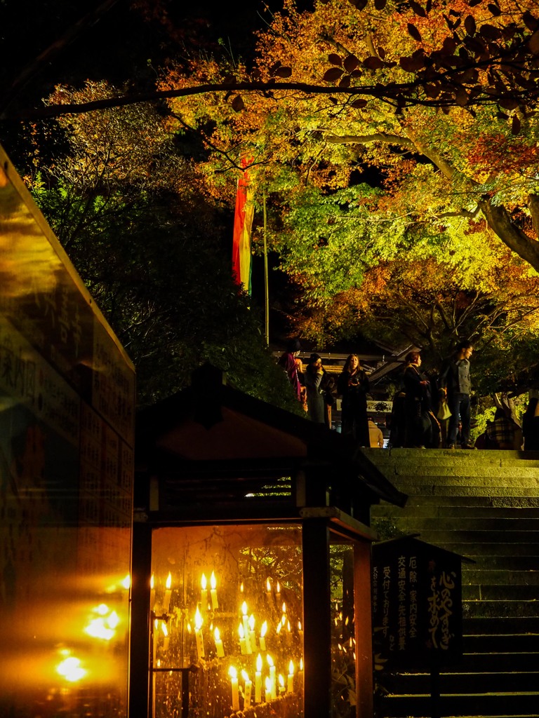 大興善寺のライトアップ