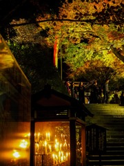 大興善寺のライトアップ
