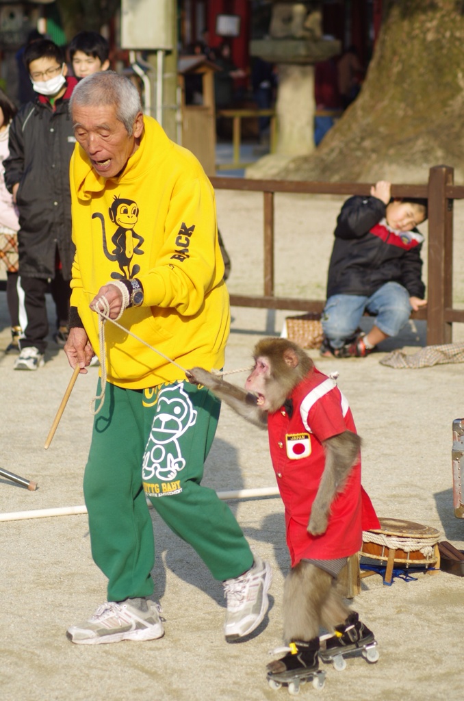 似てます