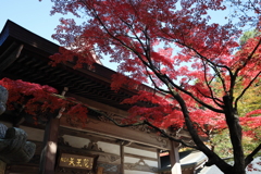 呑山観音寺　その６