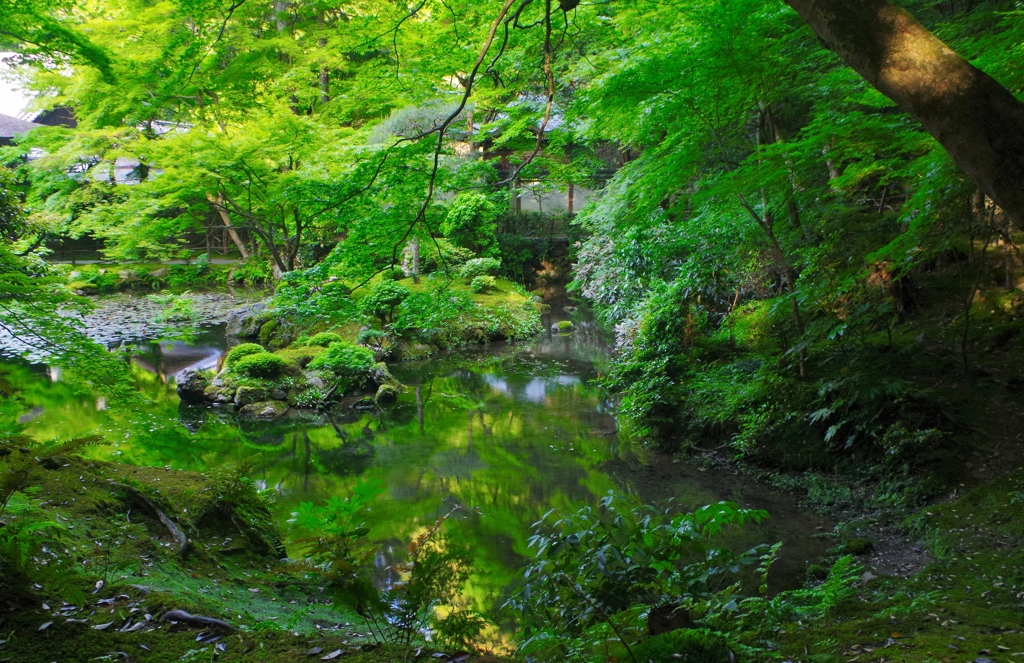 京都 南禅寺境内　６