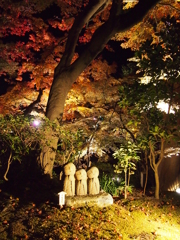 鎌倉長谷寺の紅葉ライトアップ１