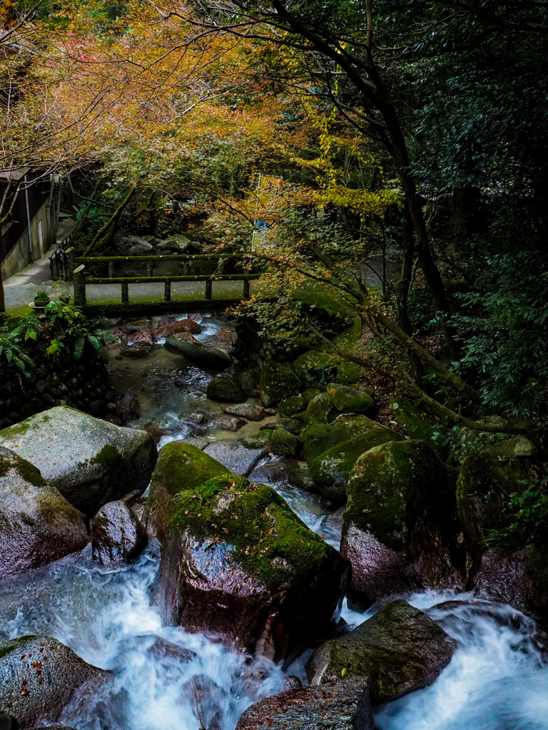 紅葉と渓流