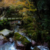 紅葉と渓流