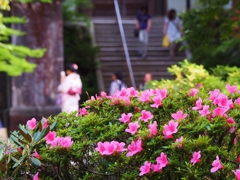 京都 南禅寺境内　１０