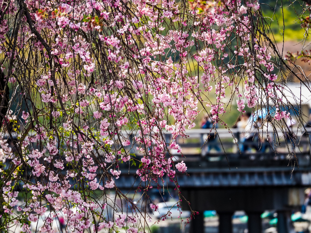 渡月橋