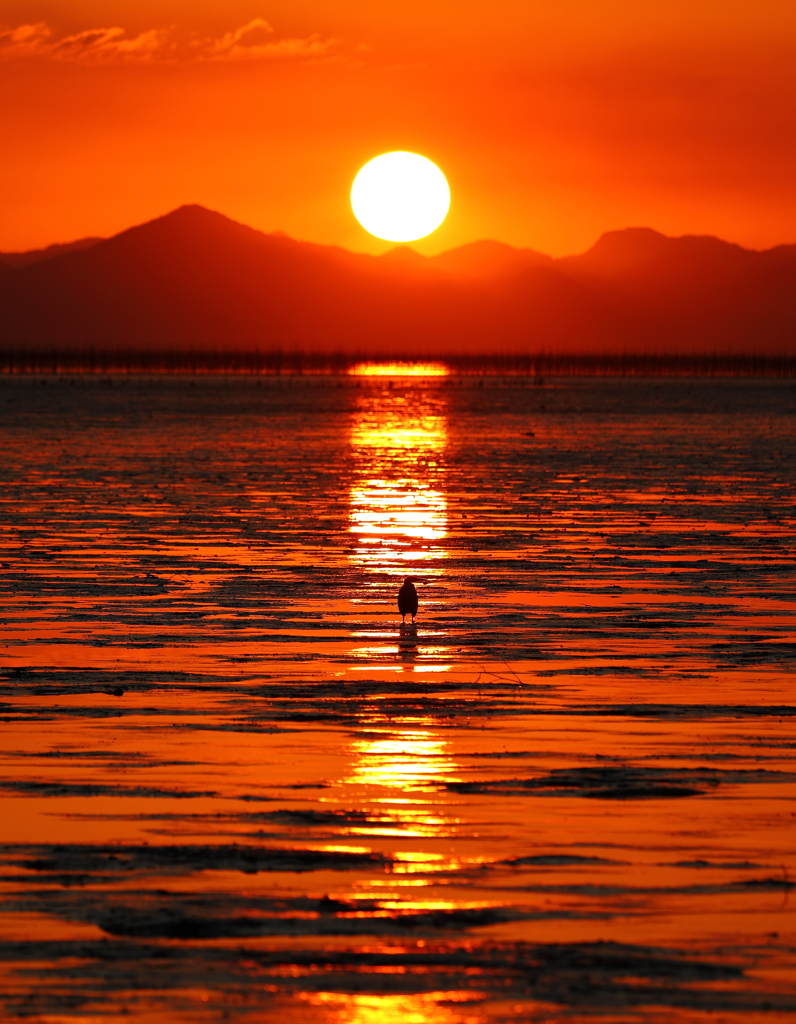 有明海の夕暮れ　その７