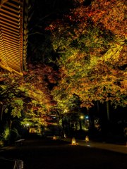 大興禅寺２０１８その１