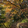 太宰府の紅葉２０２０　その１