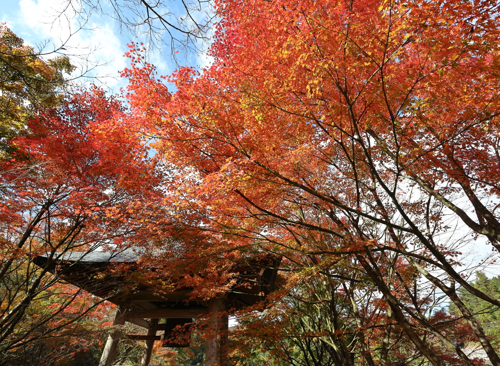 呑山観音寺　２０２１　Part2　その３