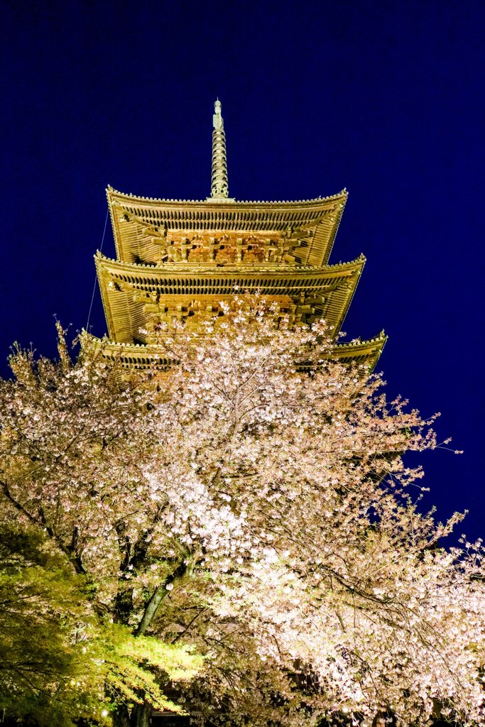 京都　東寺　ライトアップ　１