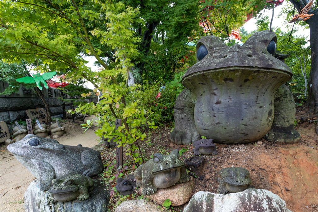 カエル寺　その１３