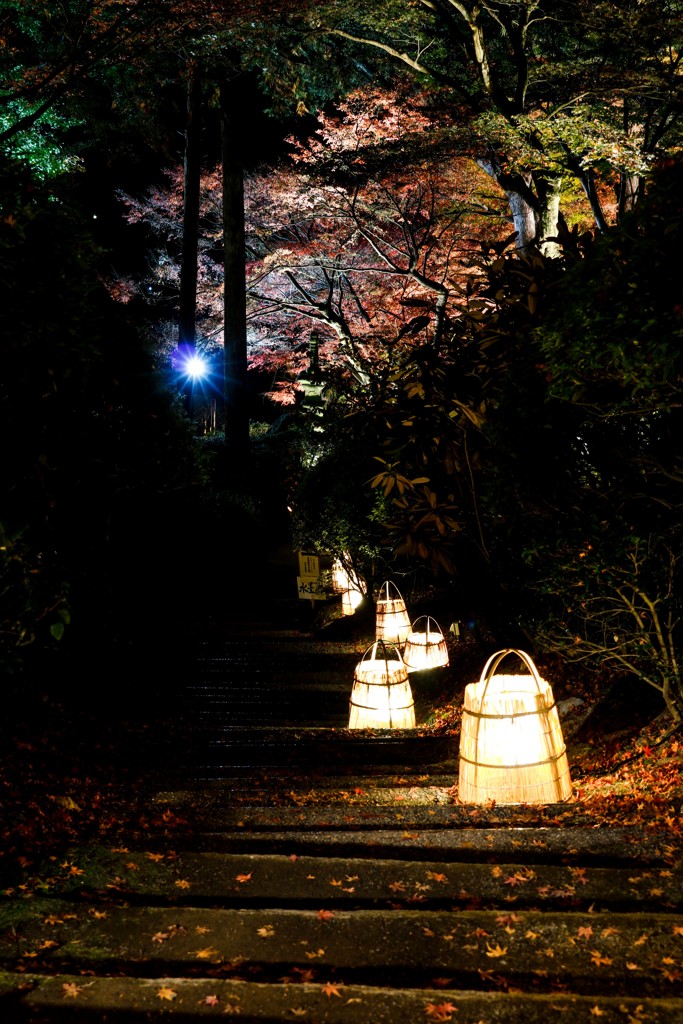 大興善寺のライトアップ　７
