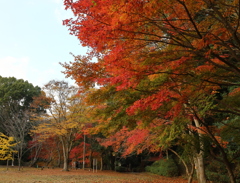 四王寺県民の森