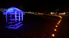 吉野ヶ里歴史公園　光の響　２０２１　その１１