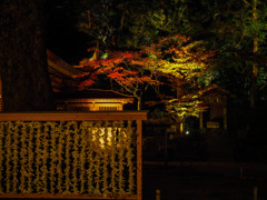 願い事かなえて