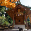 竈門神社の紅葉２０２１　その３